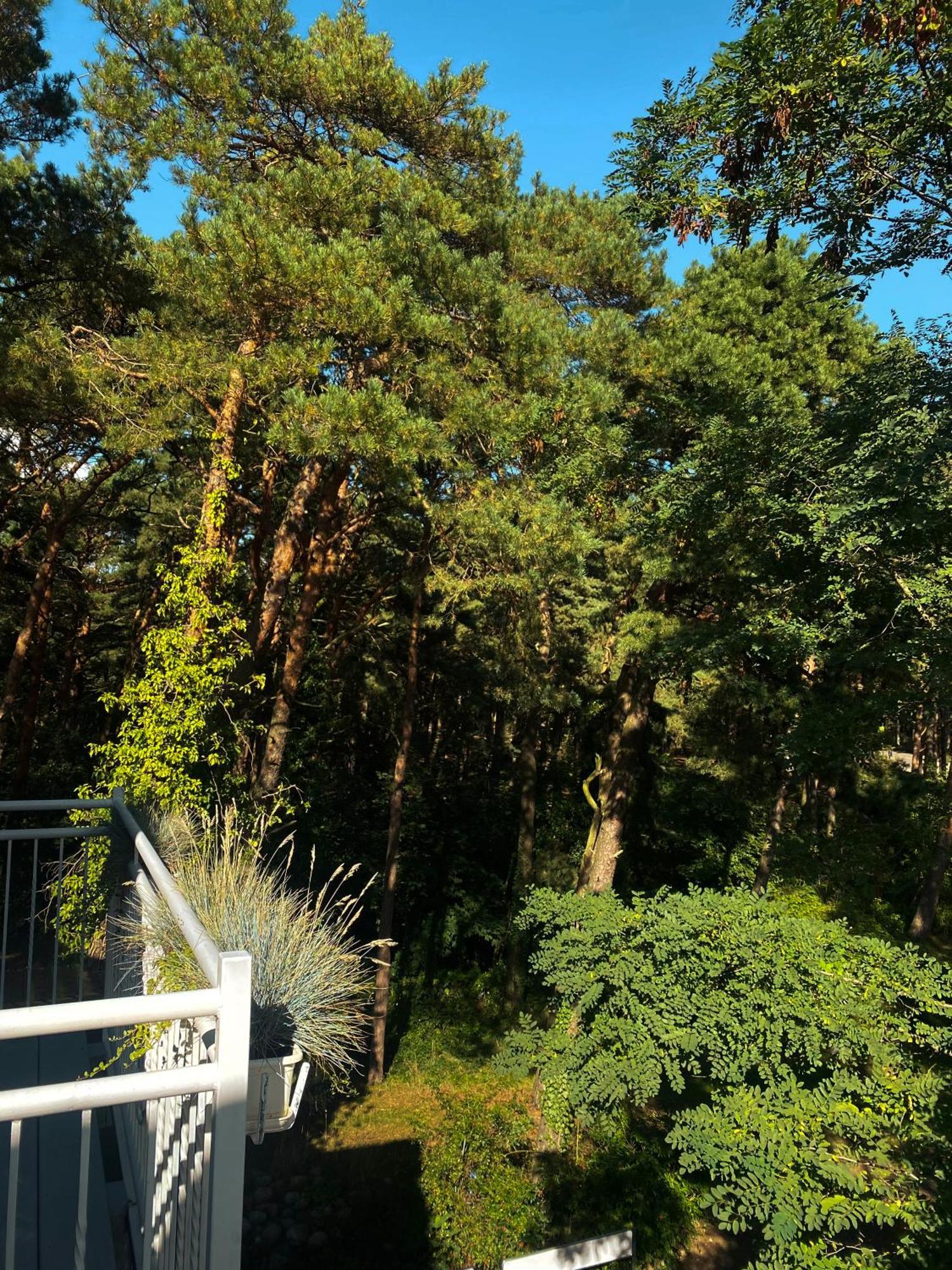 Orbisa Pokoje I Apartamenty Łeba Extérieur photo